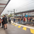 Ambiance festive et conviviale_Fig 2019_10.jpg