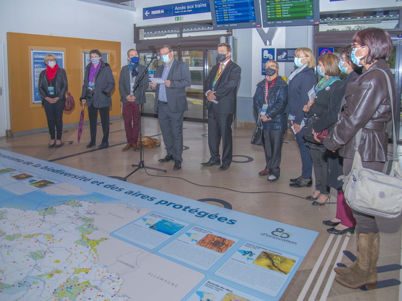 02/10/2020 - Carte au sol IGN "Panorama de la biodiversité et des aires protégées"