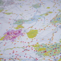 02/10/2020 - Carte au sol IGN "Panorama de la biodiversité et des aires protégées"
