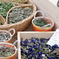 Eco Resto et Allée des Saveurs
