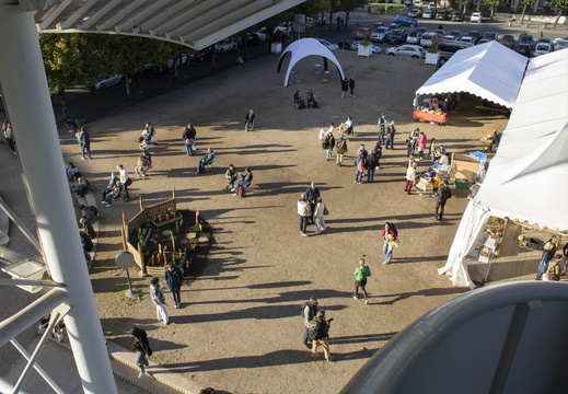 Ambiance FIG 2024