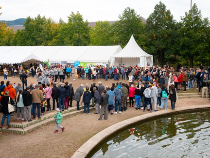 Eco Resto et Allée des Saveurs