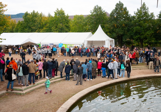 Eco Resto et Allée des Saveurs