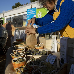 Eco Resto et Allée des Saveurs