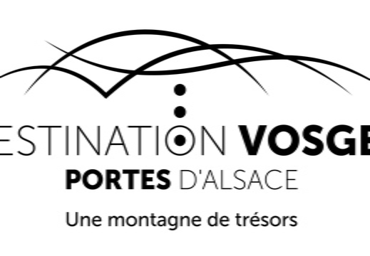 OTI DVPA-logo+BL-Noir