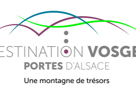 OTI DVPA-logo+BL-Rose+cadre quadri