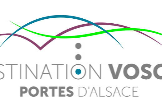 OTI DVPA-logo-Bleu quadri