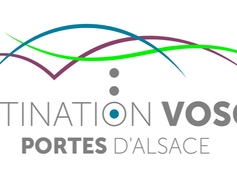 OTI DVPA-logo-Bleu quadri