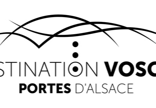 OTI DVPA-logo-Noir