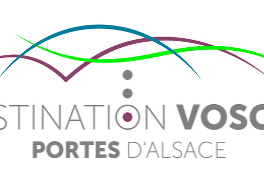 OTI DVPA-logo-Rose quadri