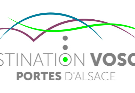 OTI DVPA-logo-Vert quadri