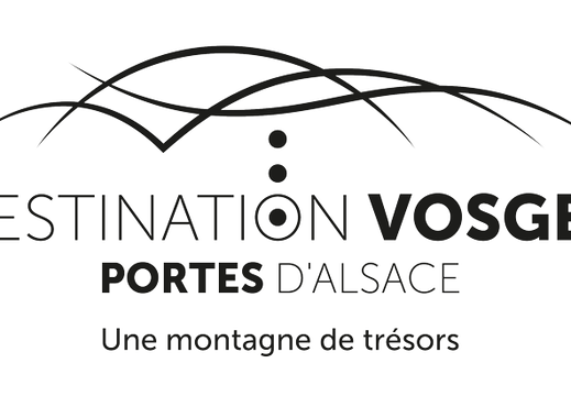 OTI-DVPA-logo+BL-Noir