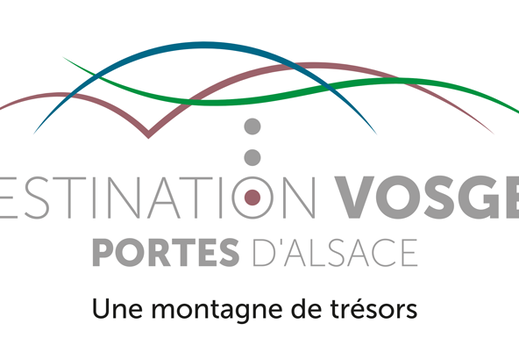 OTI-DVPA-logo+BL-Rose+cadre-quadri