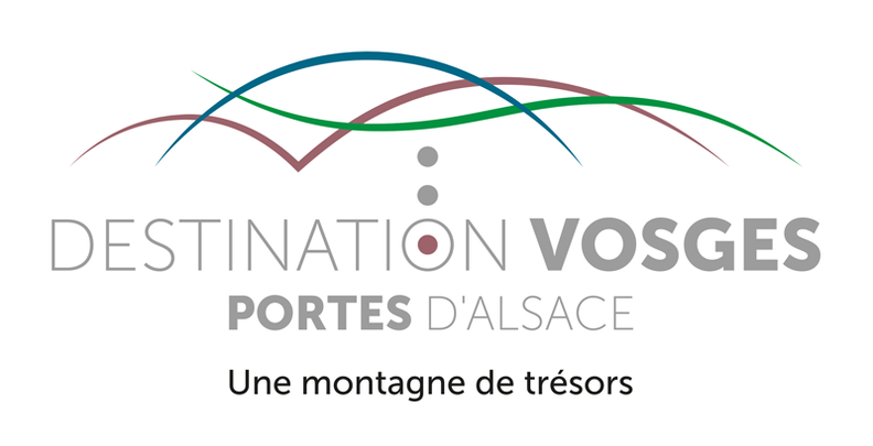 OTI-DVPA-logo+BL-Rose+cadre-quadri.png