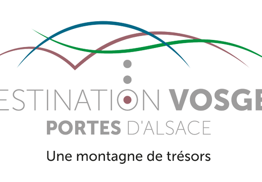 OTI-DVPA-logo+BL-Rose-quadri