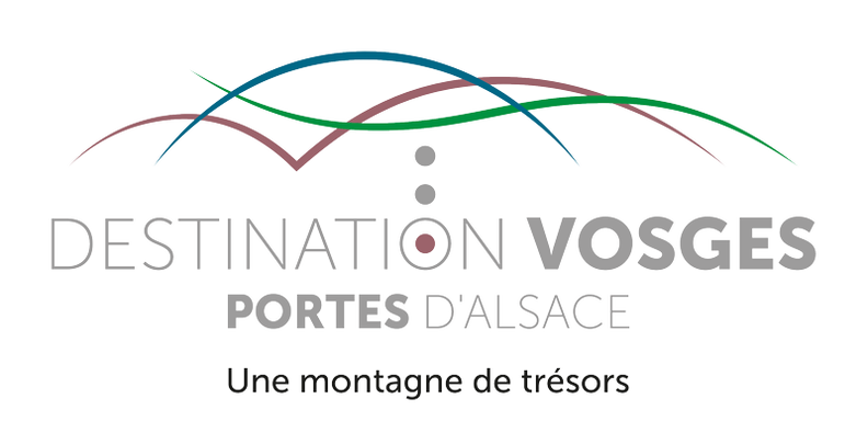 OTI-DVPA-logo+BL-Rose-quadri.png