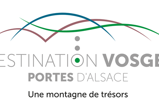 OTI-DVPA-logo+BL-Vert+cadre-quadri