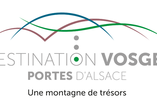 OTI-DVPA-logo+BL-Vert-quadri