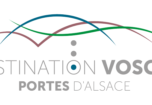 OTI-DVPA-logo-Bleu-quadri