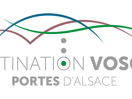 OTI-DVPA-logo-Vert+cadre-quadri