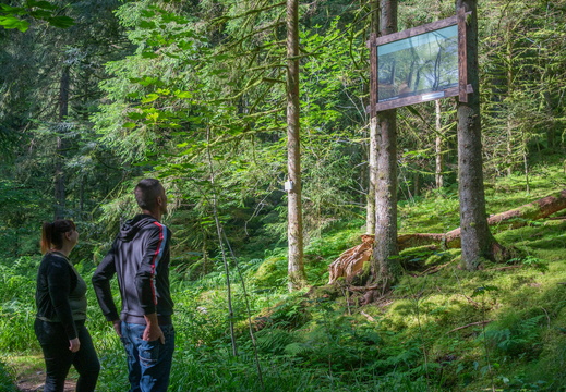 Ban sur Meurthe-Clefcy Sentier photographique ©Maxime Perrotey