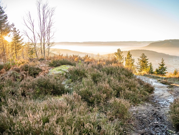 Saint-Dié des-Vosges Camp de la Bure Vue©Maxime PERROTEY