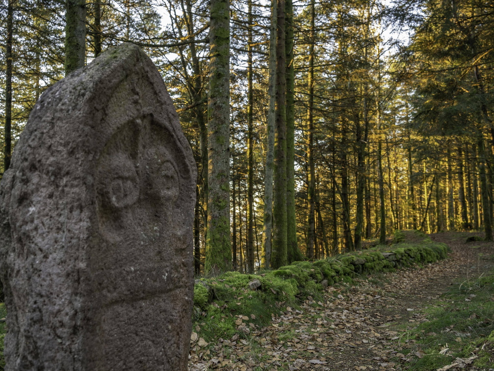 Saint-Dié-des-Vosges-Camp de la Bure ©Maxime PERROTEY