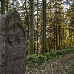 Saint-Dié-des-Vosges-Camp de la Bure ©Maxime PERROTEY