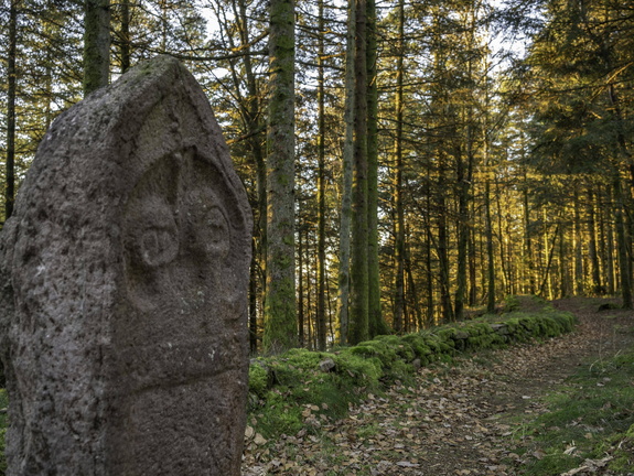 Saint-Dié-des-Vosges-Camp de la Bure ©Maxime PERROTEY