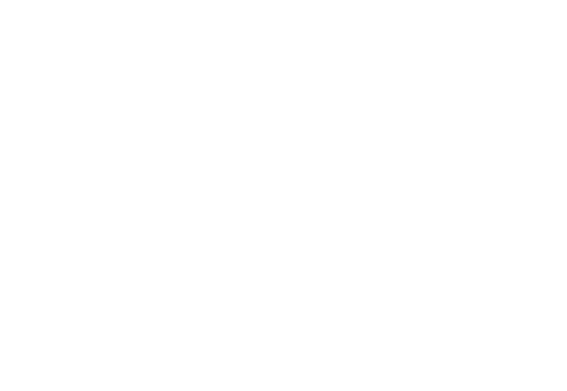 Logo SDA BLANC