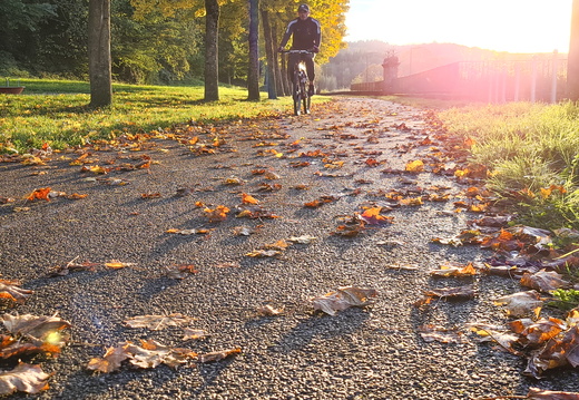 Nature Ambiance Automne ©Maxime Perrotey (1)