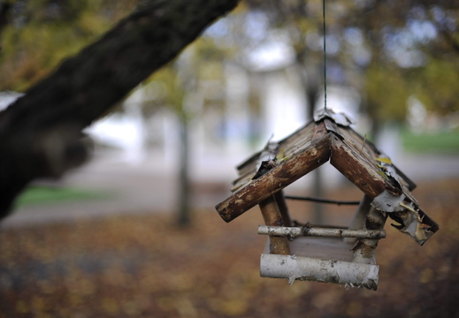 Nature Ambiance Automne ©Maxime Perrotey (10)