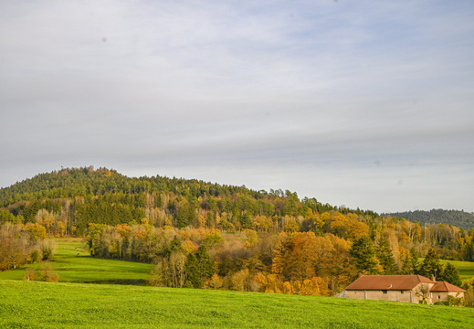 Nature Ambiance Automne ©Maxime Perrotey (12)