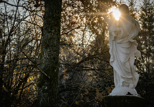 Nature Ambiance Automne ©Maxime Perrotey (15)