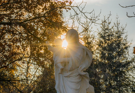 Nature Ambiance Automne ©Maxime Perrotey (16)