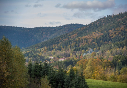 Nature Ambiance Automne ©Maxime Perrotey (18)