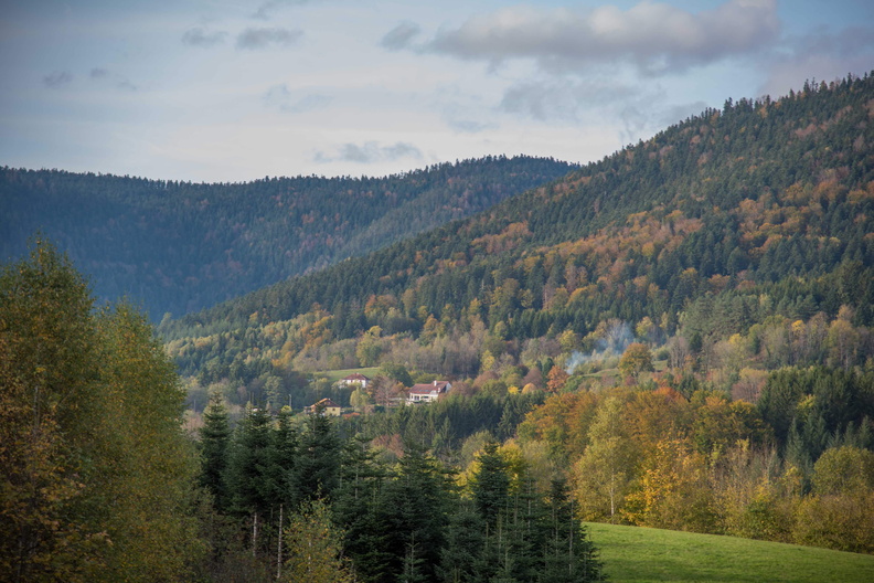 Nature_Ambiance_Automne_©Maxime Perrotey (18).jpg