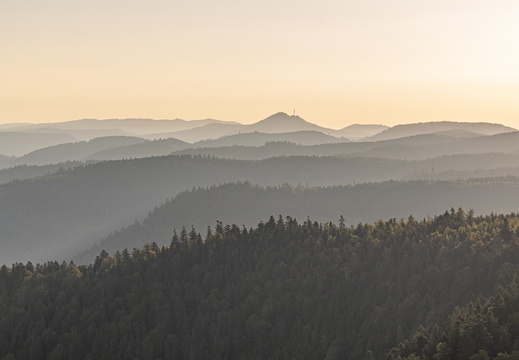 Nature Ambiance Automne ©Maxime Perrotey (20)