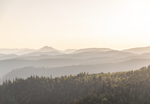 Nature Ambiance Automne ©Maxime Perrotey (21)