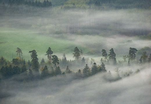 Nature Ambiance Automne ©Maxime Perrotey (23)