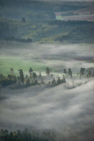 Nature_Ambiance_Automne_©Maxime Perrotey (23).jpg