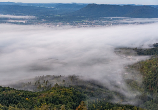 Nature Ambiance Automne ©Maxime Perrotey (24)