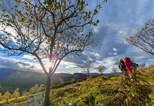 Nature Ambiance Automne ©Maxime Perrotey (3)