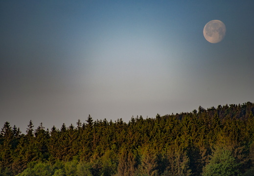 Nature Nuit Coucher de Soleil ©Maxime Perrotey