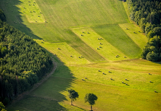 Nature Vue Aérienne ©Maxime Perrotey (2)