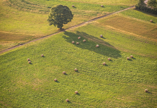 Nature Vue Aérienne ©Maxime Perrotey