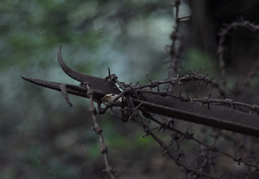 Senones Roche Mère Henry ©Maxime Perrotey