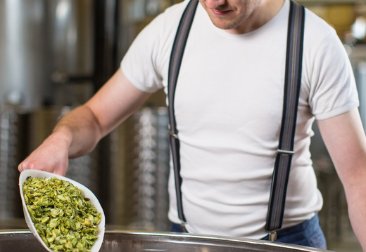 Senones Brasserie Opercule ©LOpercule (6)