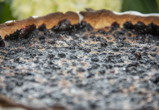 Terroir ©Maxime Perrotey (1)