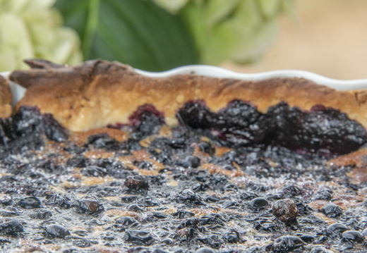 Terroir ©Maxime Perrotey (2)